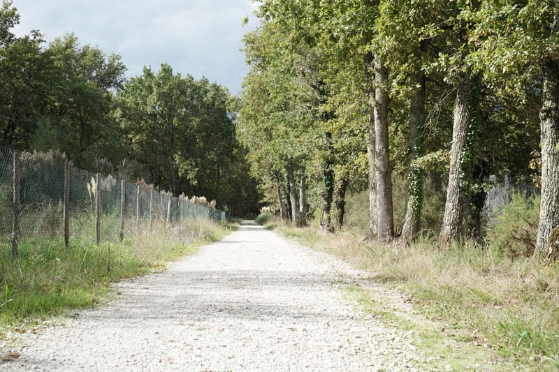 Chemin du bois des Girondins, au Domaine de Rocquevielle